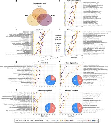 Early Transcriptional Changes in Rabies Virus-Infected Neurons and Their Impact on Neuronal Functions